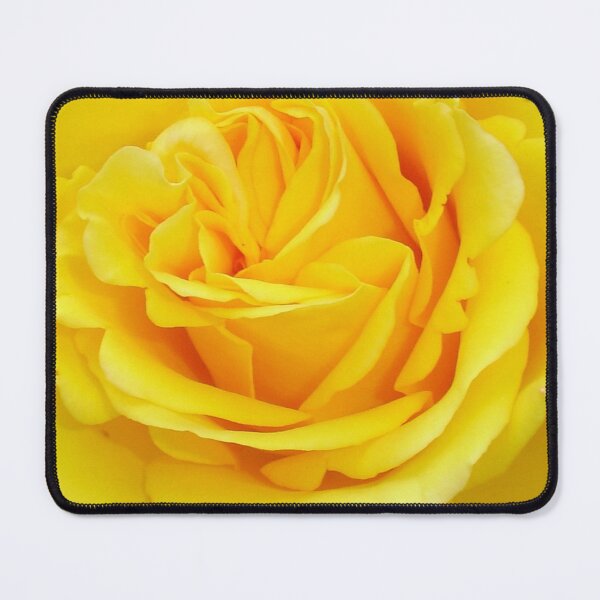 Item preview, Beautiful Yellow Rose Closeup Photograph designed and sold by taiche.