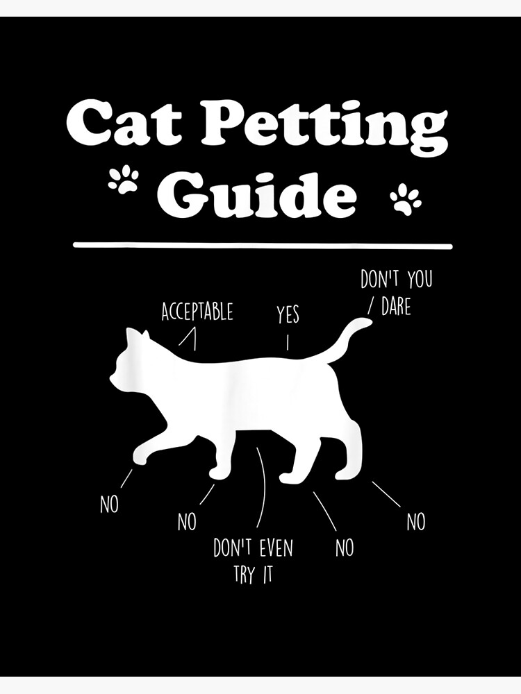 Don't pet a CAT like THIS 