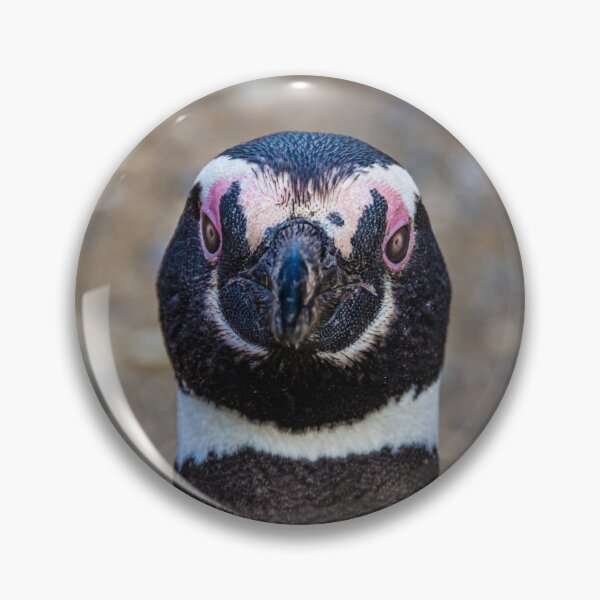 Item preview, Look me in the eyes... magellanic penguin portrait designed and sold by Lyl Dil Creations.