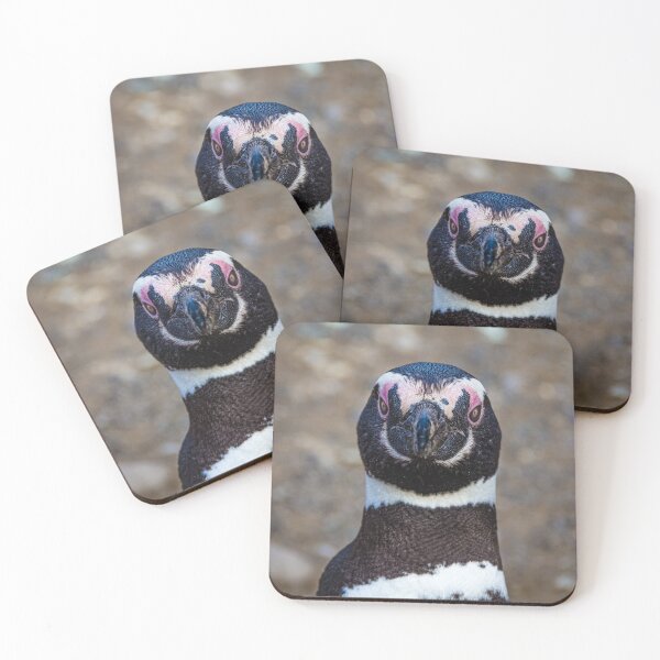 Item preview, Look me in the eyes... magellanic penguin portrait designed and sold by Lyl Dil Creations.