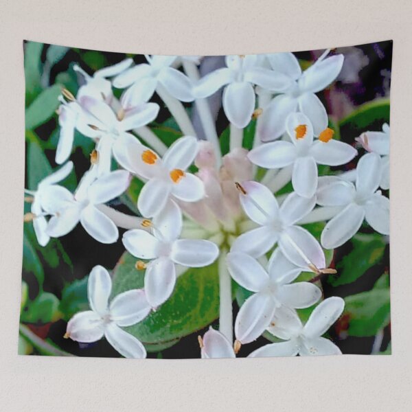 Item preview, Native Rice-Flowers designed and sold by Geoff Treagus.