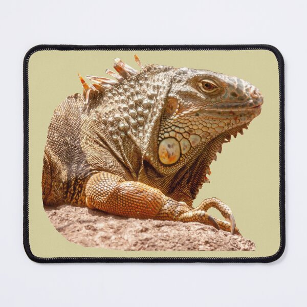 Item preview, Modern day Dinosaur the Iguana designed and sold by Dalyndigital Photography.
