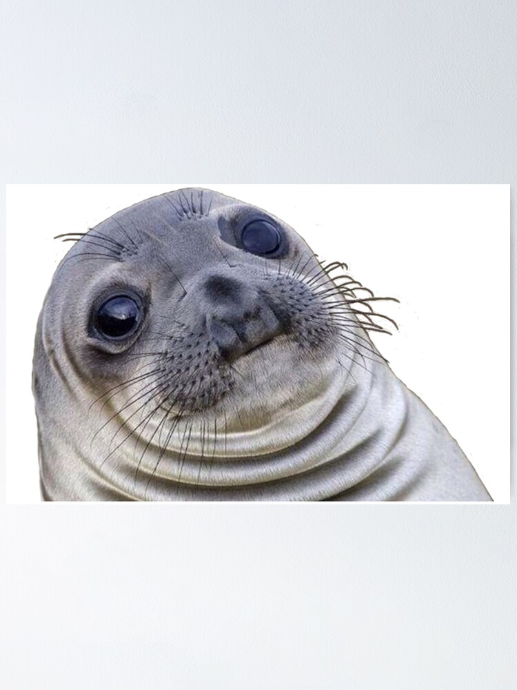 "Squishy seal meme" Poster for Sale by MaximilianMus Redbubble