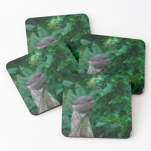 Item preview, Nobody there to feed me... designed and sold by Calidris Fotografie Steffi & Ben Köppler.