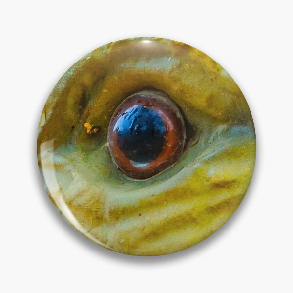 Item preview, Eoraptor designed and sold by Dalyndigital Photography.