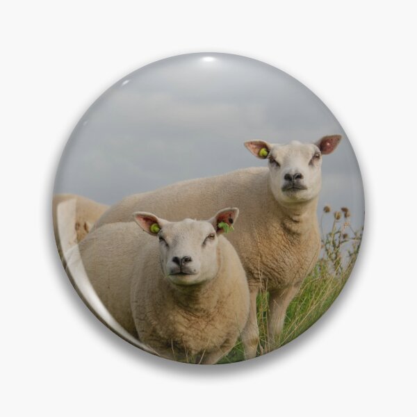 Item preview, Texel sheep designed and sold by koalas1414.