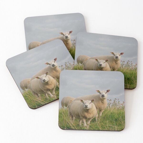 Item preview, Texel sheep designed and sold by koalas1414.