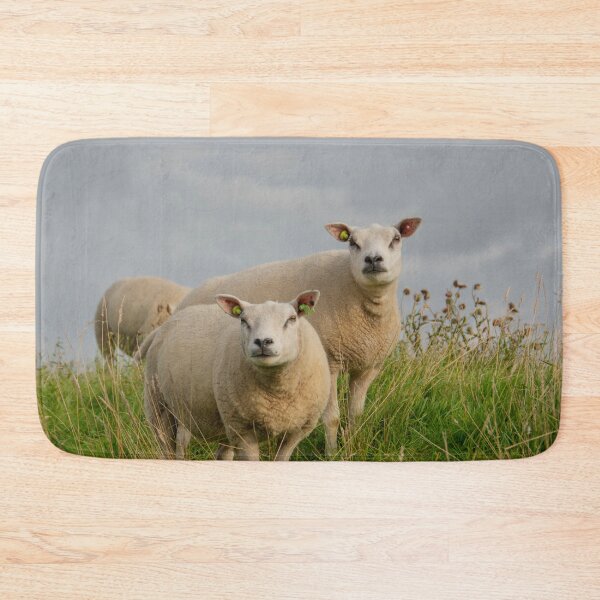 Item preview, Texel sheep designed and sold by koalas1414.