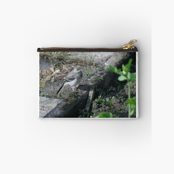 Item preview, Young White Wagtail 3 designed and sold by Calidris Fotografie Steffi & Ben Köppler.