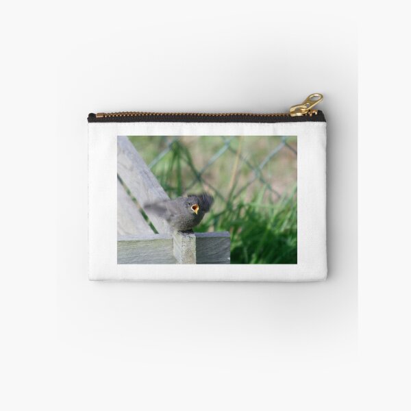Item preview, Black Redstart designed and sold by Calidris Fotografie Steffi & Ben Köppler.