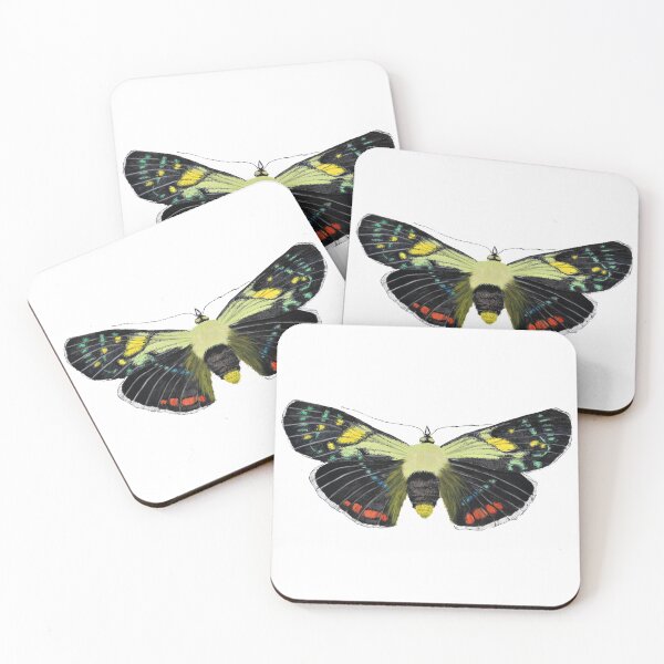 Item preview, Moth designed and sold by Mark  Regan.