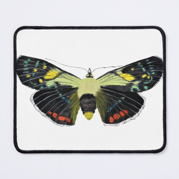 Item preview, Moth designed and sold by Mark  Regan.