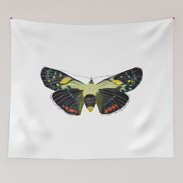 Item preview, Moth designed and sold by Mark  Regan.