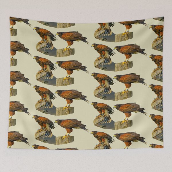 Item preview, Pair of Harris Hawks awaiting prey designed and sold by Dalyndigital Photography.