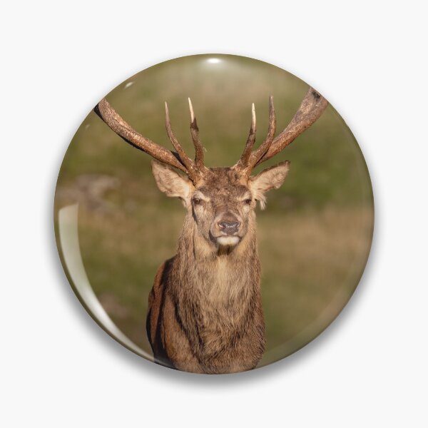 Item preview, red stag designed and sold by AliMarleyPhoto.