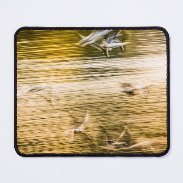 Item preview, Flying seagulls - abstract designed and sold by Lyl Dil Creations.