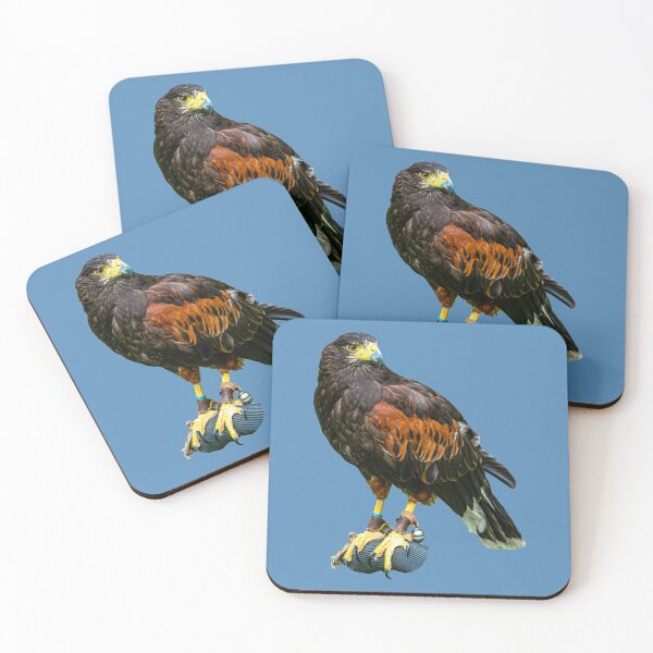 Item preview, Harris Hawk on a bow perch designed and sold by Dalyndigital Photography.