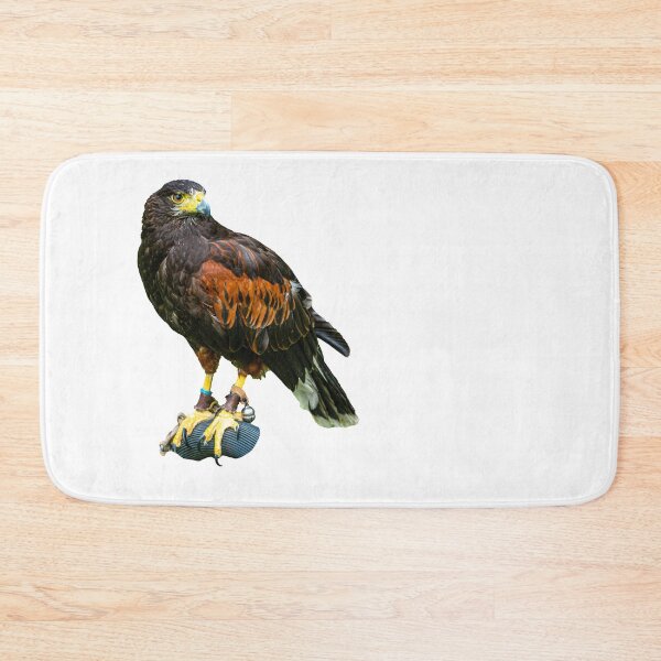 Item preview, Harris Hawk on a bow perch designed and sold by Dalyndigital Photography.