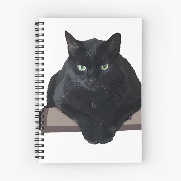 Item preview, Color Block Black Cat designed and sold by doodle-mittens.