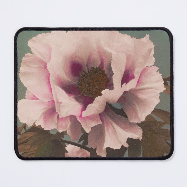 Item preview, Big flower cherry blossom japanese tree designed and sold by Byfab.