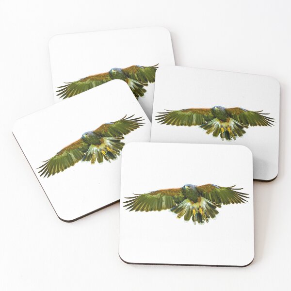 Item preview, Harris Hawk incoming! designed and sold by Dalyndigital Photography.