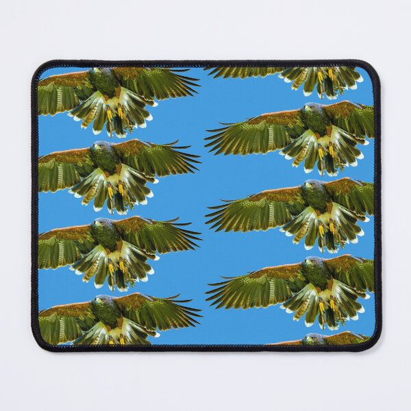 Item preview, Harris Hawk incoming! designed and sold by Dalyndigital Photography.