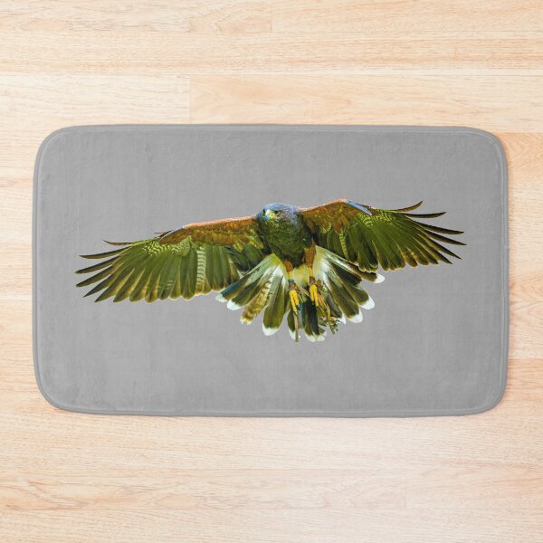 Item preview, Harris Hawk incoming! designed and sold by Dalyndigital Photography.