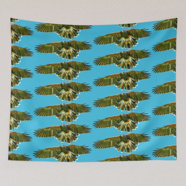 Item preview, Harris Hawk incoming! designed and sold by Dalyndigital Photography.