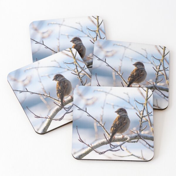 Item preview, House Sparrow ( Passer Domesticus ) in snowy tree designed and sold by emergentdesigns.