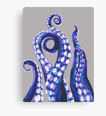 Octopus Tentacles Canvas Print