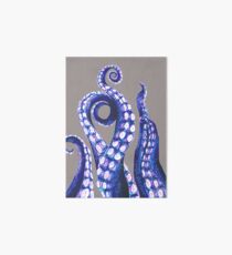 Lámina rígida Tentáculos de pulpo