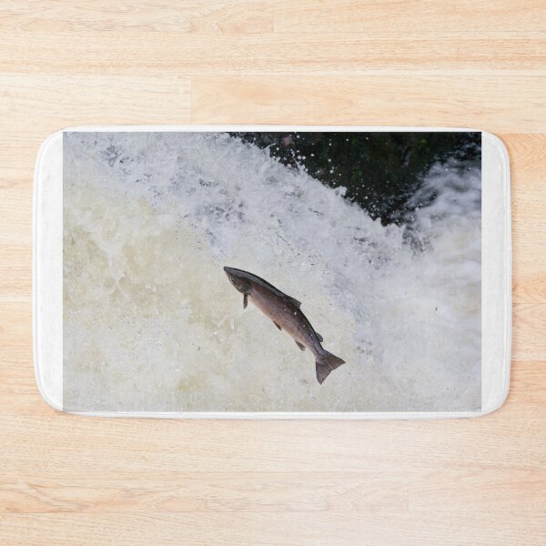 Item preview, Large wild atlantic salmon leaping designed and sold by chanonry.