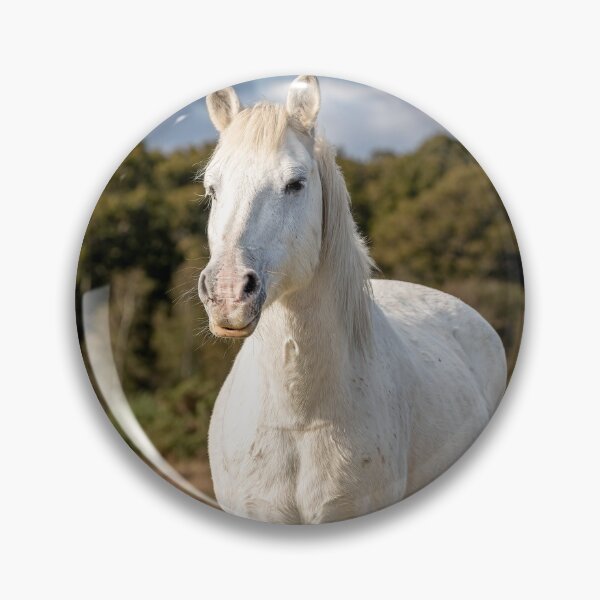 Item preview, New forest pony designed and sold by AliMarleyPhoto.