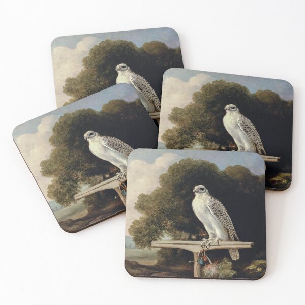 Item preview, Greenland Falcon (1780) by George Stubbs designed and sold by dastore22.
