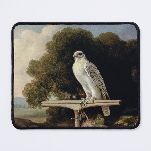 Item preview, Greenland Falcon (1780) by George Stubbs designed and sold by dastore22.