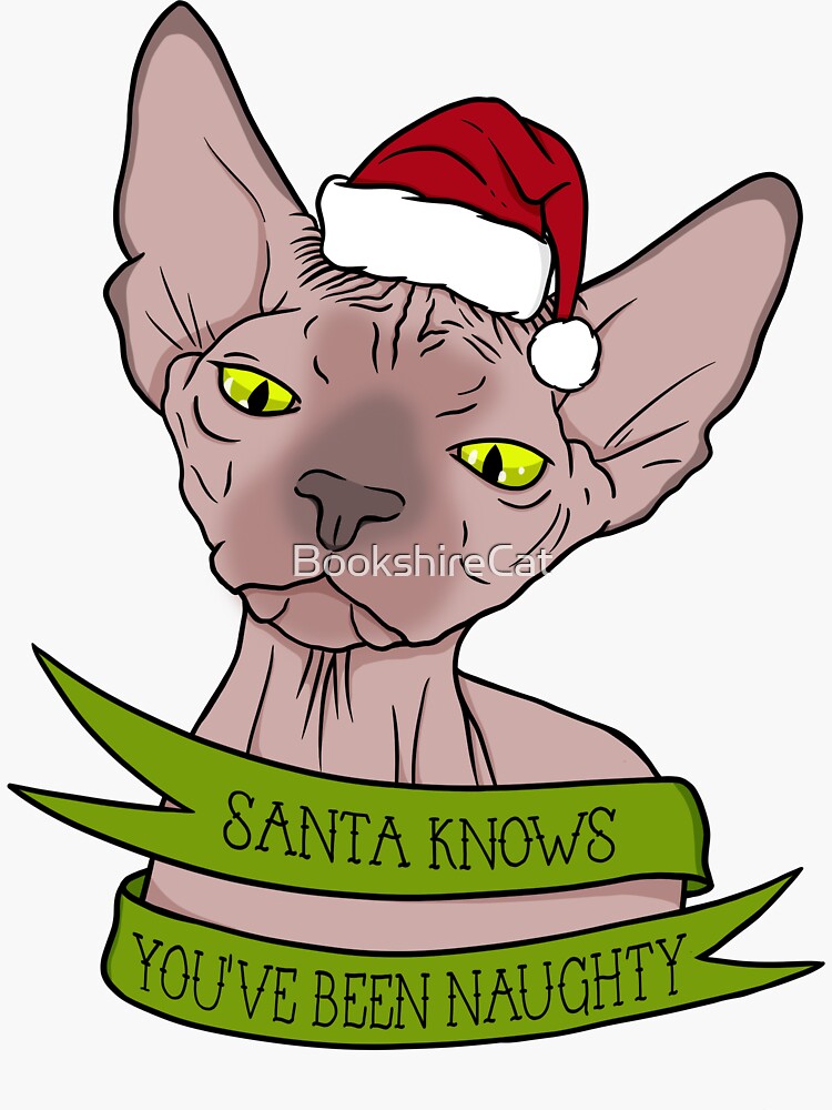 Santa knows you've been naughty by BookshireCat