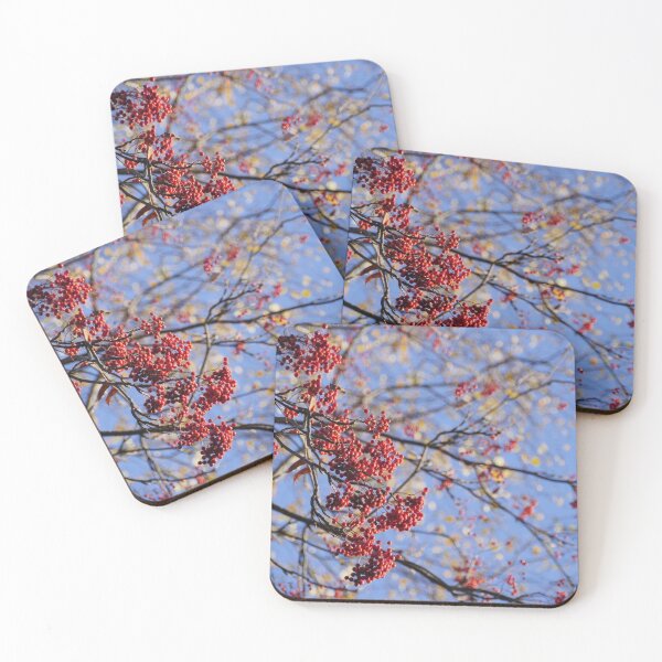 Item preview, ripe red rowan berries on branches in autumn  designed and sold by mrivserg.