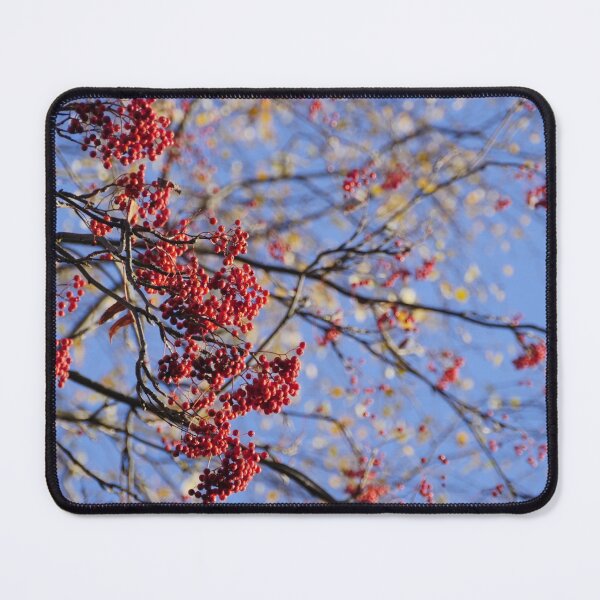 Item preview, ripe red rowan berries on branches in autumn  designed and sold by mrivserg.