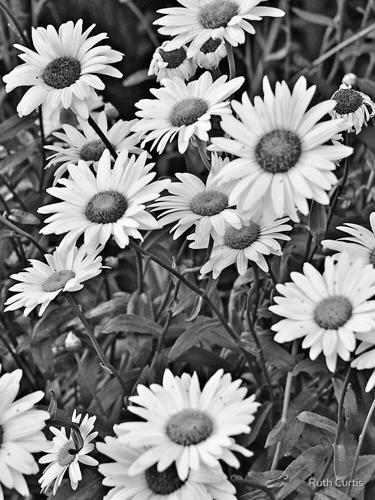 Thumbnail 4 of 4, iPhone Case, Daises designed and sold by Ruthie33.