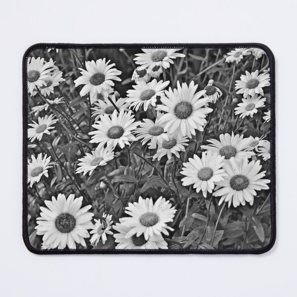 Item preview, Daises designed and sold by Ruth Curtis.
