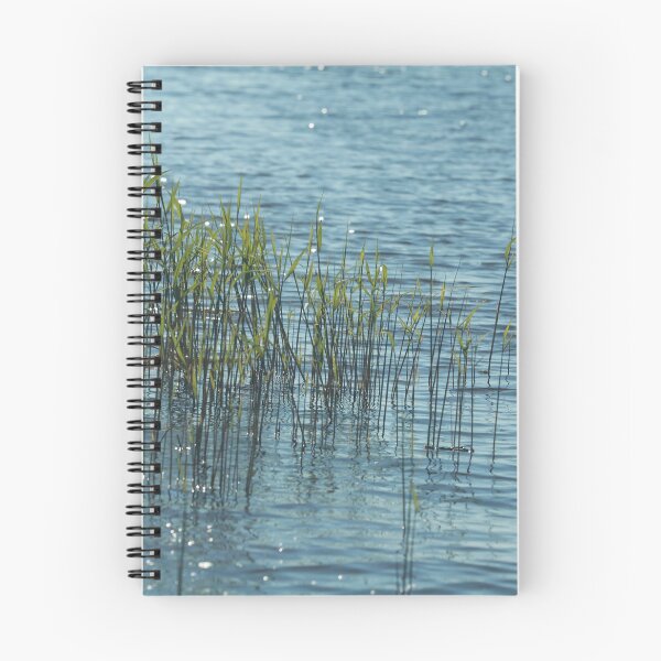 Item preview, young green reed stalks grown in shallow water  designed and sold by mrivserg.