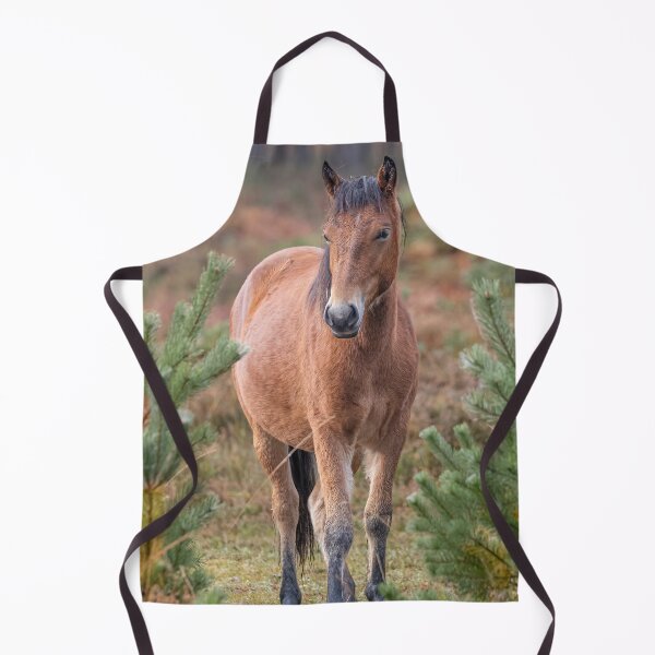 Item preview, New forest pony designed and sold by AliMarleyPhoto.