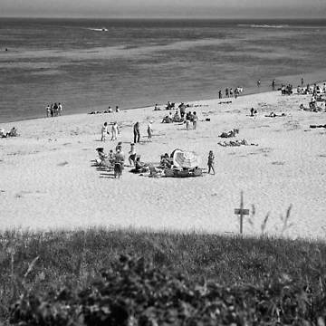 Artwork thumbnail, Cape Cod Beach by Ruth Curtis