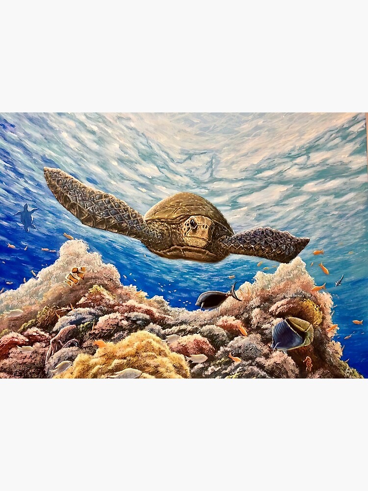 Sea turtle underwater, Sea turtle art, Sea turtle painting, Sea