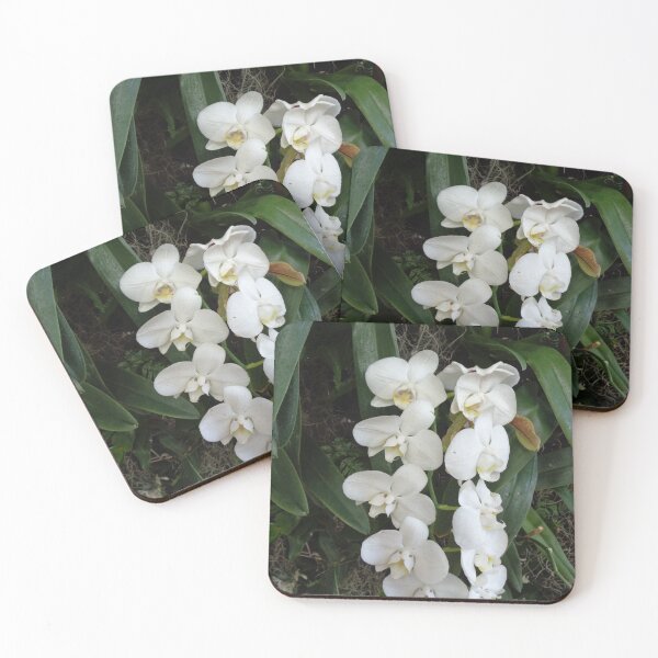 Item preview, White Moth Orchids 2 designed and sold by GardenArtworks.