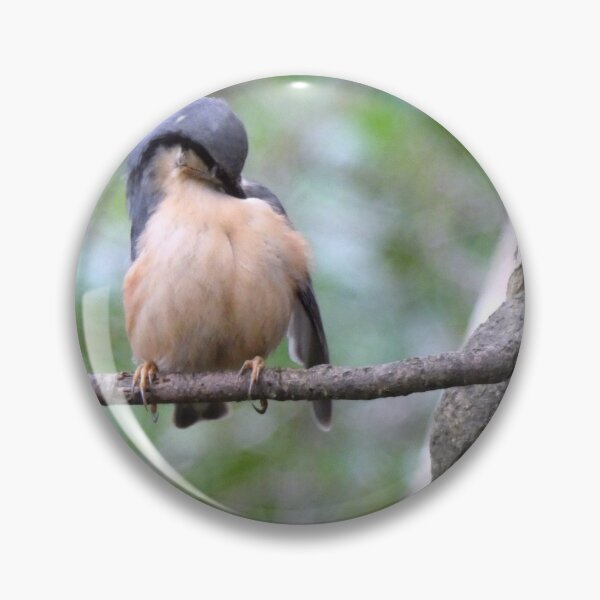 Item preview, nuthatch designed and sold by KathleenDawson.