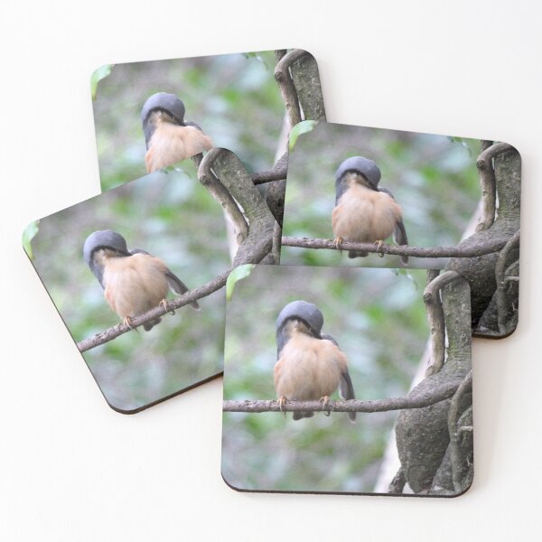 Item preview, nuthatch designed and sold by KathleenDawson.