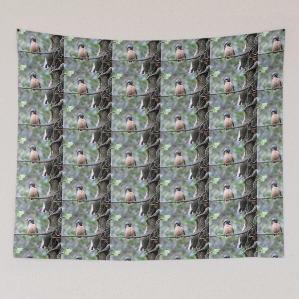 Item preview, nuthatch designed and sold by KathleenDawson.