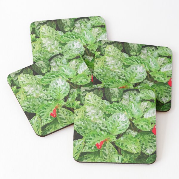 Item preview, Episcia plant acrylic painting  designed and sold by helveticanian.