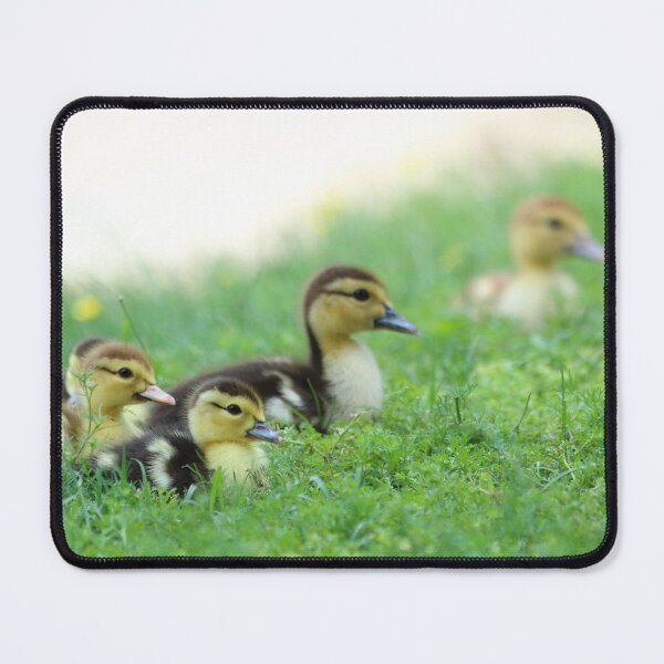 Item preview, The Gathering designed and sold by Olivia Plasencia.